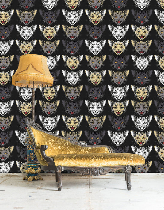 Cat Face Removable Wallpaper, Crazy Cat Snout Peel and Stick, Cat Wallpaper, Cats Wall Mural, Dark Designer Wallpaper, W135