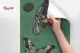 Antique Botanical Butterflies Removable Wallpaper, Vintage Butterflies Wallpaper, Dark Green Traditional Wallpaper, W195